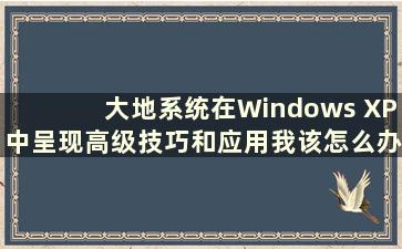 大地系统在Windows XP中呈现高级技巧和应用我该怎么办（大地系统好用吗）